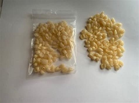 bag of fake teeth